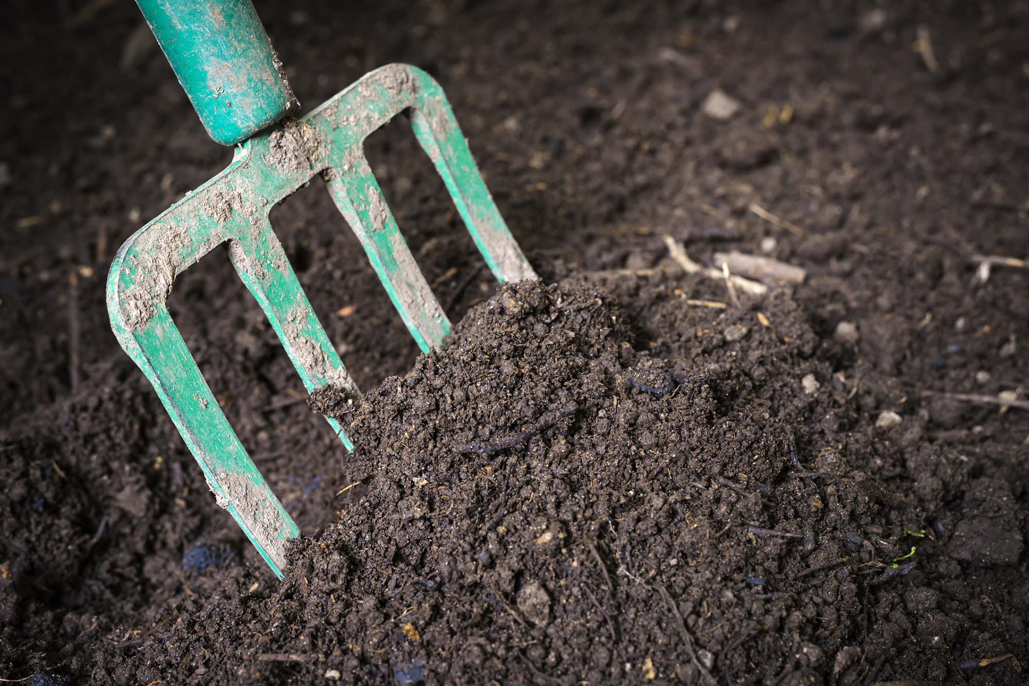 Garden fork turning composted soil. Garden fork turning black composted soil in compost bin ready for gardening, close up.